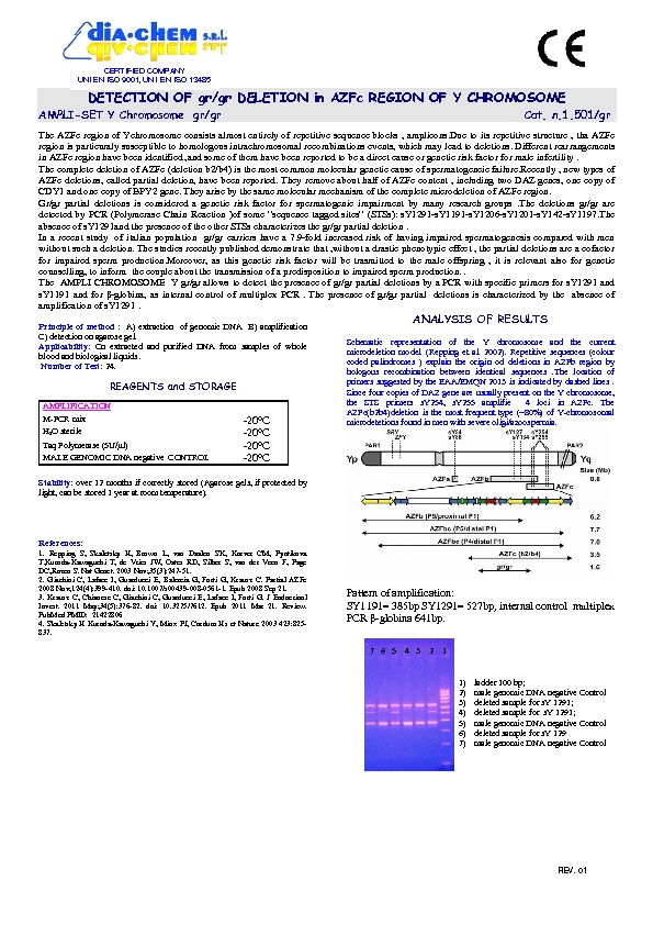 1.501gr* Ampli set Y Chromosome gr-gr